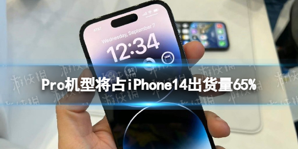 Pro机型将占iPhone14出货量65% 分析师预测ProMax最受欢迎