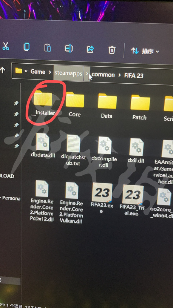 FIFA 23分辨率调整方法 fifa23画面模糊怎么办