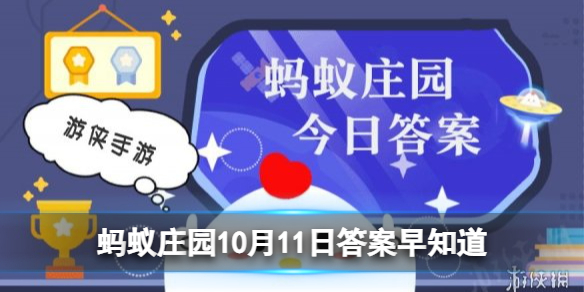 路上遇到导盲犬，可以投喂食物和抚摸吗 蚂蚁庄园10月11日答案早知道