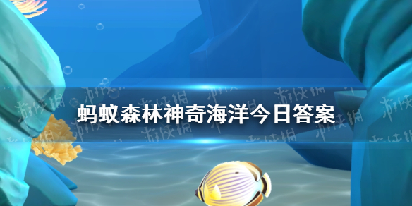 海面上鲸鱼喷出的是什么 神奇海洋鲸鱼喷出的是10.20答案