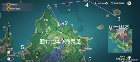 原神海灵芝采集路线分享-原神海灵芝怎么采集