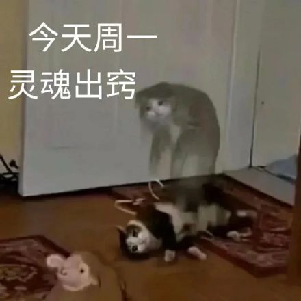 《抖音》起猛了梗的意思分享