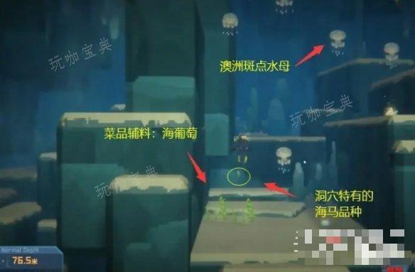 《潜水员戴夫》7级海马捕捉攻略