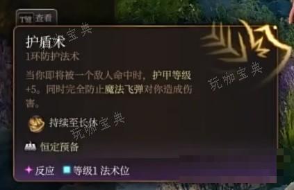 《博德之门3》奉献之誓圣武士开荒BD推荐