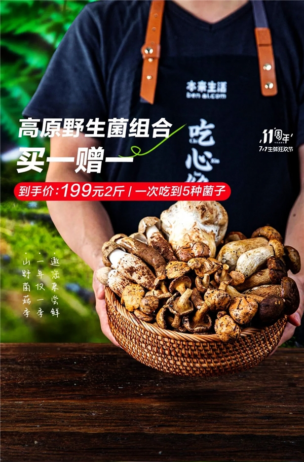 本来生活2023山野菌菇季，寻“鲜”而至