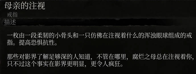 《堕落之主》母亲的注视介绍