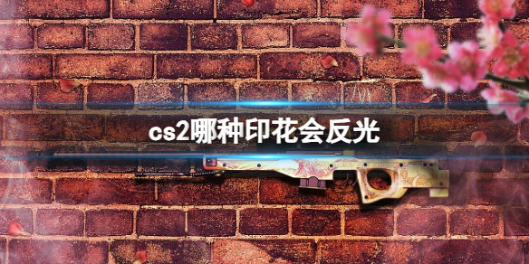 《cs2》会反光印花介绍